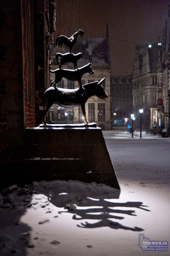 Foto: Alexander Horn